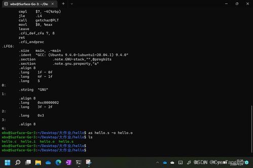 程序人生 從Hello World到P2P的計算機系統之旅——哈工大2022大作業解析